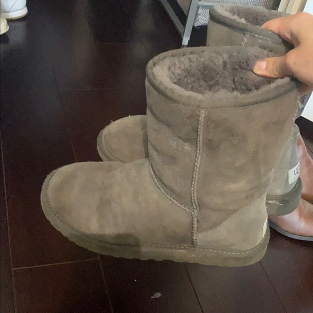Grey Uggs